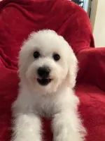 processed/afdf6693-265a-4971-b97e-408f71778683/listing/722f5f3e-c7df-4702-9de9-942f30304d4a/01671882-2bee-4e95-8bac-ec620cf8133f