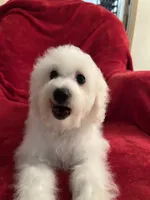 processed/afdf6693-265a-4971-b97e-408f71778683/listing/722f5f3e-c7df-4702-9de9-942f30304d4a/81dc3e87-a1d9-421d-ad4d-0aea8b5e6fbc