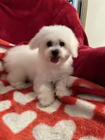 processed/afdf6693-265a-4971-b97e-408f71778683/listing/c200c17d-3d26-4bc5-b3af-378f66abca92/1aa4f780-4425-41e1-a9ae-b330384ff01e