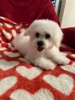 processed/afdf6693-265a-4971-b97e-408f71778683/listing/c200c17d-3d26-4bc5-b3af-378f66abca92/d45da71b-a941-4cb5-afe7-27df2ebda73d