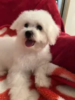 processed/afdf6693-265a-4971-b97e-408f71778683/listing/c200c17d-3d26-4bc5-b3af-378f66abca92/f081d112-9f48-4829-8073-8c81860c5913