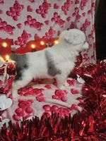 processed/afe30f9b-3f31-410f-9228-03a4ab69f6db/listing/01ba0dc7-10fd-45a7-97d8-1146c2f47bdf/457fb7c4-74de-495c-9a84-fcb6dcf416a9