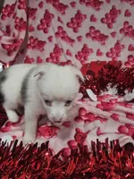 processed/afe30f9b-3f31-410f-9228-03a4ab69f6db/listing/01ba0dc7-10fd-45a7-97d8-1146c2f47bdf/621c7c06-46e5-47dc-af8e-a78aedabfd74