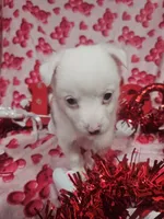 processed/afe30f9b-3f31-410f-9228-03a4ab69f6db/listing/01ba0dc7-10fd-45a7-97d8-1146c2f47bdf/ff53f73a-8523-4e8f-9672-5206e3d43e4f