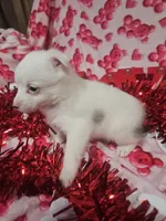 processed/afe30f9b-3f31-410f-9228-03a4ab69f6db/listing/01ba0dc7-10fd-45a7-97d8-1146c2f47bdf/ff82ca65-93b7-44c4-86df-6e8accd8823b