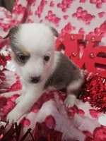 processed/afe30f9b-3f31-410f-9228-03a4ab69f6db/listing/5f7db8d3-01ed-4cca-a15e-8ebf9532dac6/d10f0e22-f3fe-4568-a827-6211fca00fc5