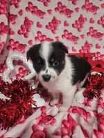 processed/afe30f9b-3f31-410f-9228-03a4ab69f6db/listing/a90c0c63-87ed-4ec9-8b7b-22739db02745/351de3a7-e0be-4862-b2aa-2415ddc82107