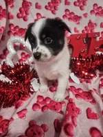 processed/afe30f9b-3f31-410f-9228-03a4ab69f6db/listing/a90c0c63-87ed-4ec9-8b7b-22739db02745/81bb8362-4aa9-4836-b347-cac8e05ba1a0