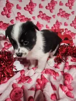 processed/afe30f9b-3f31-410f-9228-03a4ab69f6db/listing/a90c0c63-87ed-4ec9-8b7b-22739db02745/b7f1d53b-64ba-4e7d-b6a8-e40643304bd9