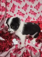 processed/afe30f9b-3f31-410f-9228-03a4ab69f6db/listing/a90c0c63-87ed-4ec9-8b7b-22739db02745/e1ed921f-4a9c-44ab-b069-3dff83fe06d9