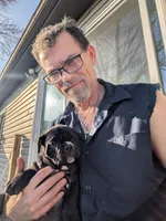 Runt with a big personality , a female American Bully for sale in Marion, OH – Photo 4 of 10