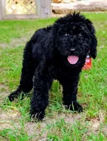 processed/aff11902-b05f-42c9-ab1c-efffde76fc01/listing/0385fc16-750f-4d4a-a487-b44fed2b3374/1230b558-19f3-4a5b-92a2-4c540998f142