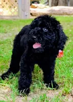 processed/aff11902-b05f-42c9-ab1c-efffde76fc01/listing/0385fc16-750f-4d4a-a487-b44fed2b3374/9e5338eb-2bf8-4750-bd47-d296e142719f