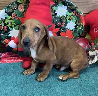 processed/aff54ca9-ff85-4c24-bed4-6bcf80eb535f/listing/1d73afdb-f745-443e-9abc-c73ea75767b3/4fa54e11-c03e-4f85-a609-01dd8692f39e