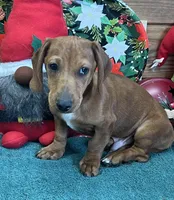 processed/aff54ca9-ff85-4c24-bed4-6bcf80eb535f/listing/1d73afdb-f745-443e-9abc-c73ea75767b3/60a51f18-780c-4ef4-9689-84816549efc5