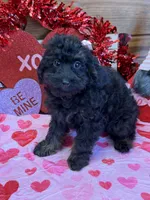 processed/aff54ca9-ff85-4c24-bed4-6bcf80eb535f/listing/204630bc-f98d-483c-9dab-5c2c47181e92/2621f6ff-f3bc-4168-a6a7-4572f73c4c06