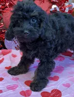 processed/aff54ca9-ff85-4c24-bed4-6bcf80eb535f/listing/204630bc-f98d-483c-9dab-5c2c47181e92/5920fafc-73aa-417d-a547-ac0f3779b491