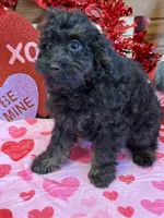 processed/aff54ca9-ff85-4c24-bed4-6bcf80eb535f/listing/204630bc-f98d-483c-9dab-5c2c47181e92/f8391b34-f0bb-4c60-93ce-784c4f367440