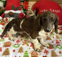 processed/aff54ca9-ff85-4c24-bed4-6bcf80eb535f/listing/321a3085-e75a-40ff-9e74-087f9b9ce9e2/2b2bb902-7f0e-4d96-9b6c-703e2a1a92b3