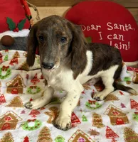 processed/aff54ca9-ff85-4c24-bed4-6bcf80eb535f/listing/321a3085-e75a-40ff-9e74-087f9b9ce9e2/6550884e-a4c5-466f-bb95-a3e45a358a7d