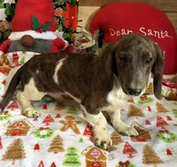 processed/aff54ca9-ff85-4c24-bed4-6bcf80eb535f/listing/321a3085-e75a-40ff-9e74-087f9b9ce9e2/c2f5796d-52c0-4526-a37f-8fc108bbef02