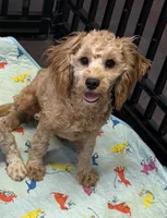 processed/aff54ca9-ff85-4c24-bed4-6bcf80eb535f/listing/4b314187-fb5b-4a25-9f0c-8482774c8094/9241b9c0-c726-4897-961c-69bbe4df9aa2