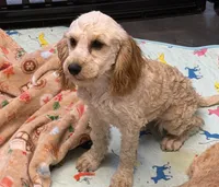 processed/aff54ca9-ff85-4c24-bed4-6bcf80eb535f/listing/4b314187-fb5b-4a25-9f0c-8482774c8094/ba8dcbd5-9984-468e-a7fe-80d712080c84