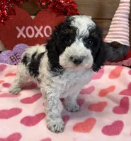 processed/aff54ca9-ff85-4c24-bed4-6bcf80eb535f/listing/4b4bef37-f315-460f-9b80-a2cc80da4fb3/5bca9e41-1f20-401a-8574-5b96f17616ec