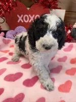 processed/aff54ca9-ff85-4c24-bed4-6bcf80eb535f/listing/4b4bef37-f315-460f-9b80-a2cc80da4fb3/bdee73ac-b75d-4ed8-bc47-f08dec2f179a