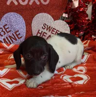 processed/aff54ca9-ff85-4c24-bed4-6bcf80eb535f/listing/50cec3cd-717b-46ca-89a5-e8fe4b991ffe/aadde43d-7faa-4c2c-a4c8-58884be37fac