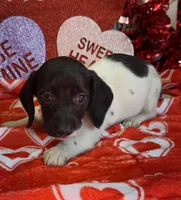 processed/aff54ca9-ff85-4c24-bed4-6bcf80eb535f/listing/50cec3cd-717b-46ca-89a5-e8fe4b991ffe/c708cd93-e69b-4f92-a501-1083f1877ab2