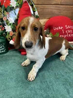 processed/aff54ca9-ff85-4c24-bed4-6bcf80eb535f/listing/570fd22b-6d40-4d88-98b6-82ae8740f065/58002b1d-7d80-42fa-b58c-97a58bbdf5ca