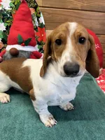 processed/aff54ca9-ff85-4c24-bed4-6bcf80eb535f/listing/570fd22b-6d40-4d88-98b6-82ae8740f065/904fe3d8-ed66-490a-a95b-0ed12dce8bb6