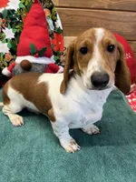 processed/aff54ca9-ff85-4c24-bed4-6bcf80eb535f/listing/570fd22b-6d40-4d88-98b6-82ae8740f065/9cdd3eec-75db-4f25-9892-42308d5722d7