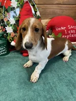 processed/aff54ca9-ff85-4c24-bed4-6bcf80eb535f/listing/570fd22b-6d40-4d88-98b6-82ae8740f065/d9290147-fc59-4172-89d5-131052991a8a