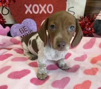 processed/aff54ca9-ff85-4c24-bed4-6bcf80eb535f/listing/57832e16-ddd4-440b-adf0-ee9398404554/4c6aa4f6-7de7-46f6-a102-e6848f01352d