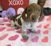 processed/aff54ca9-ff85-4c24-bed4-6bcf80eb535f/listing/57832e16-ddd4-440b-adf0-ee9398404554/4dfdf9e3-ba30-4975-b8b9-4e465f011739