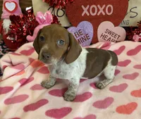 processed/aff54ca9-ff85-4c24-bed4-6bcf80eb535f/listing/57832e16-ddd4-440b-adf0-ee9398404554/d1b0473a-0899-4ce7-a194-94d301fe0ede