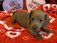 processed/aff54ca9-ff85-4c24-bed4-6bcf80eb535f/listing/5db05005-90af-4d10-a362-801ff698d3b3/0e0811b0-f1fc-4927-a115-4ba2615c9839