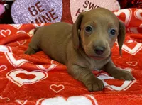 processed/aff54ca9-ff85-4c24-bed4-6bcf80eb535f/listing/5db05005-90af-4d10-a362-801ff698d3b3/6945df17-deff-4542-9f22-6d4d6ff763bf