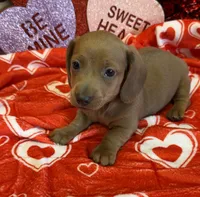 processed/aff54ca9-ff85-4c24-bed4-6bcf80eb535f/listing/5db05005-90af-4d10-a362-801ff698d3b3/6df2ee32-d27b-41f5-9126-49e9e36997f0