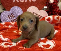 processed/aff54ca9-ff85-4c24-bed4-6bcf80eb535f/listing/5db05005-90af-4d10-a362-801ff698d3b3/ded1e766-369f-4c3f-9d86-6d0a92ff9c06