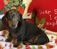 processed/aff54ca9-ff85-4c24-bed4-6bcf80eb535f/listing/5f05891d-be3e-46da-9ae9-650a75ec475b/40b0383a-3415-4e2a-ad25-6ce61a748706