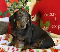 processed/aff54ca9-ff85-4c24-bed4-6bcf80eb535f/listing/5f05891d-be3e-46da-9ae9-650a75ec475b/a2948bef-7ef1-451e-8009-fc987deea901