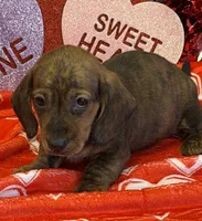 processed/aff54ca9-ff85-4c24-bed4-6bcf80eb535f/listing/60eecad0-ef30-4098-92c9-c62c0a57cc38/16b9d721-62a9-4440-a40c-dbe12794b5b6