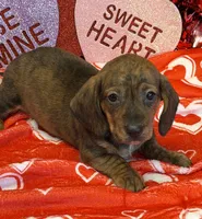 processed/aff54ca9-ff85-4c24-bed4-6bcf80eb535f/listing/60eecad0-ef30-4098-92c9-c62c0a57cc38/62c04685-dabe-4da1-ad8c-29cb2b58f728