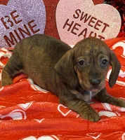 processed/aff54ca9-ff85-4c24-bed4-6bcf80eb535f/listing/60eecad0-ef30-4098-92c9-c62c0a57cc38/b7e72bb2-6a0d-45ed-89a8-4bba3970ceb7