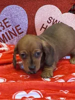 processed/aff54ca9-ff85-4c24-bed4-6bcf80eb535f/listing/881c96e3-0037-4614-958e-53b1697bf404/25af2b9a-ffde-4641-9e20-33766e10fd2b