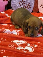 processed/aff54ca9-ff85-4c24-bed4-6bcf80eb535f/listing/881c96e3-0037-4614-958e-53b1697bf404/cb0a9ac9-60b0-4bd7-8d45-1b1001829aee