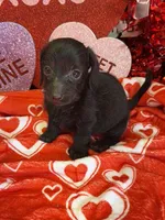 processed/aff54ca9-ff85-4c24-bed4-6bcf80eb535f/listing/962535dd-8f2d-4191-8994-83d6711aa7d0/385b017f-fa3e-449f-aed2-6b32a0d3d158